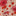 Swatch colore