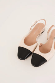 Sligback bicolore